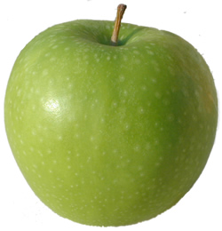 A picture of a Granny Smith apple A picture of a Granny Smith apple